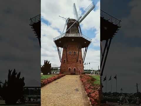 Capa do vídeo O que fazer Holambra