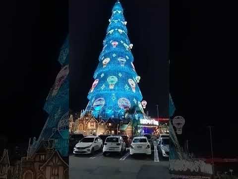 Thumbnail de Árvore de Natal - BarraShopping - 28 de dezembro de 2025