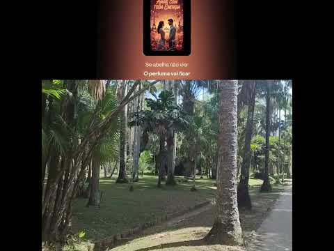 Capa do vídeo Amar com toda energia | com letra #robertosantostrilhas #musica