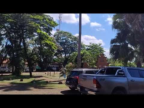 Thumbnail de Onde comer em Holambra | Dica de restaurante a quilo