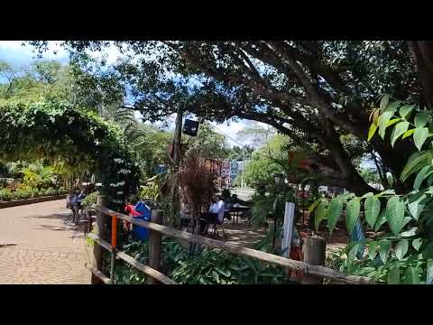 Thumbnail de Onde almoçar em Holambra ? | siga @Passeios-e-Visoes