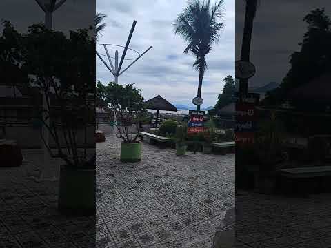 Thumbnail de Muriqui RJ. Conhece?