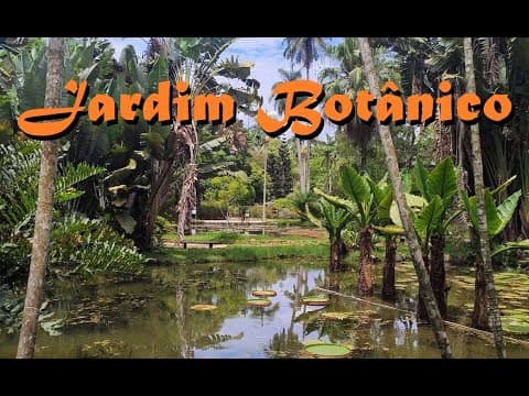 Thumbnail de Passarinho dando show de canto | Jardim Botânico RJ