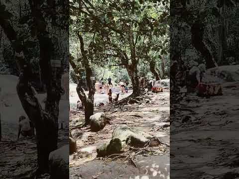 Thumbnail de O que fazer Penedo RJ