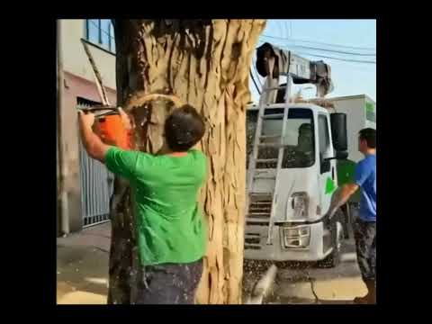 Problemas e outras questões comuns às cidades