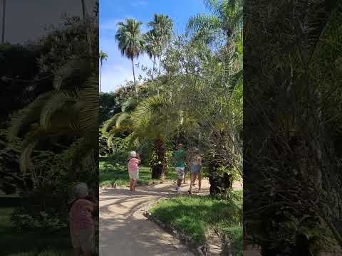 Thumbnail de 🎵 Let the Light Guide You #robertosantostrilhas #music #shorts...