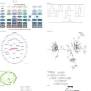 Thumbnail de Crie elementos gráficos com o Graphviz (23)