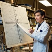 Thumbnail de Programação Linear: Otimização aplicável a diversas Áreas Científicas (25)