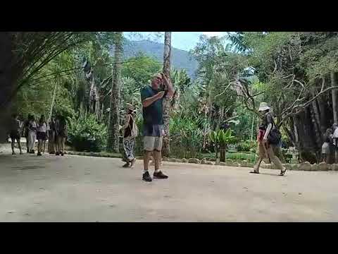 Jardim Botânico (live no local) sábado 17/01/2026 Thumbnail de Jardim Botânico (live no local) sábado 17/01/2026