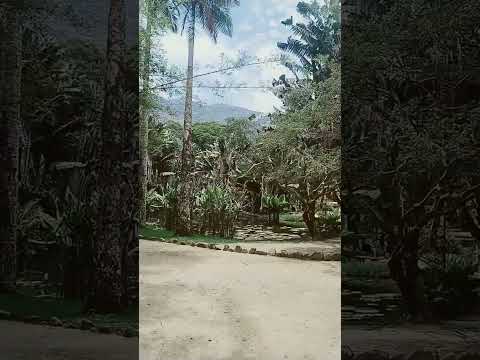 🎵 Divulgação @robertosantostrilhas #robertosantostrilhas #musica... Thumbnail de 🎵 Divulgação @robertosantostrilhas #robertosantostrilhas #musica...